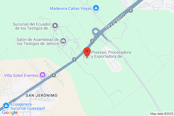 Proexpo S A