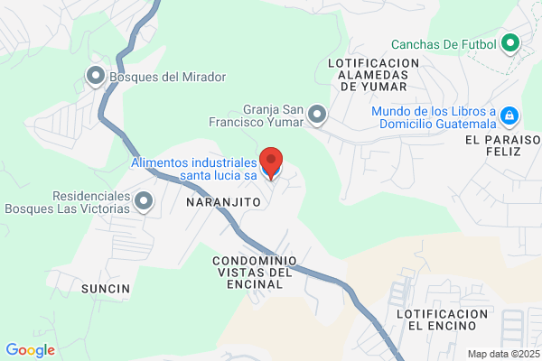 Servicios Industriales Santa Lucia S.A
