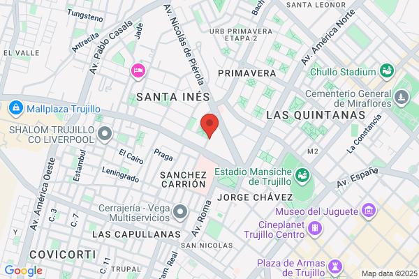 Saavedra Castillo, Javier