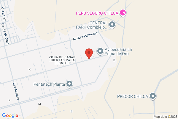 Chilca Industrial S A