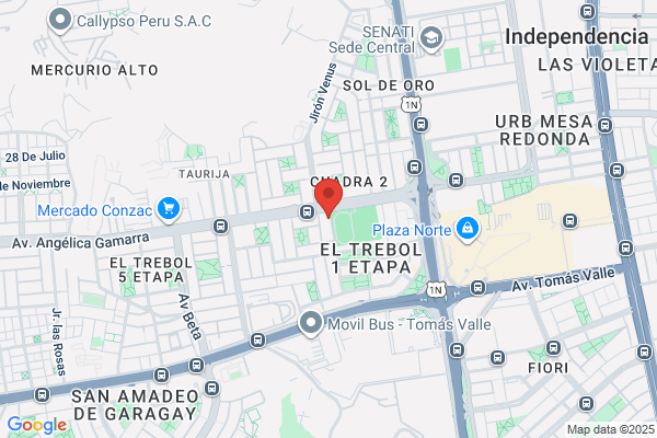 Rectificaciones San Lorenzo