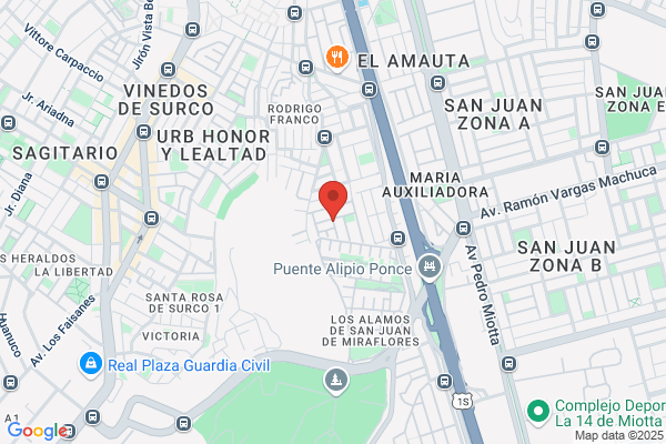 Banco Nacional De Semillas Forestales