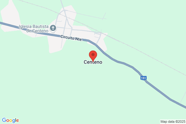 Centeno Canahuiri, Asunción Elsa