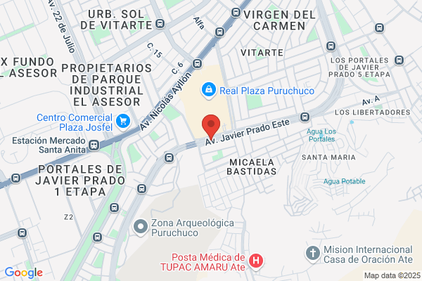 Ventas Asesoria Negoc Espec Sa Vanesa