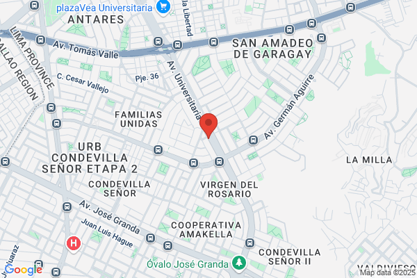 El Halcón