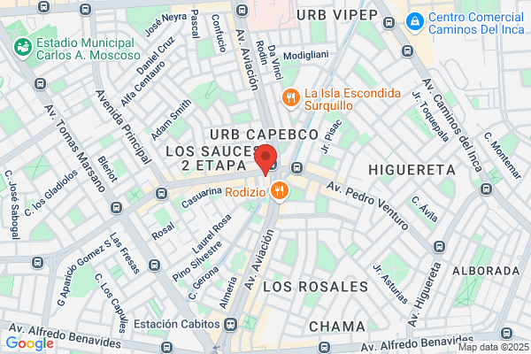 Tapicería Oswaldo