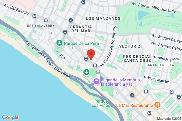 Union Promotora Internacional S.R.Ltda.