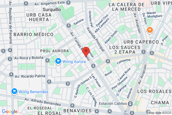 CDT Comunicaciones Digitales y Teleservicios S.A.