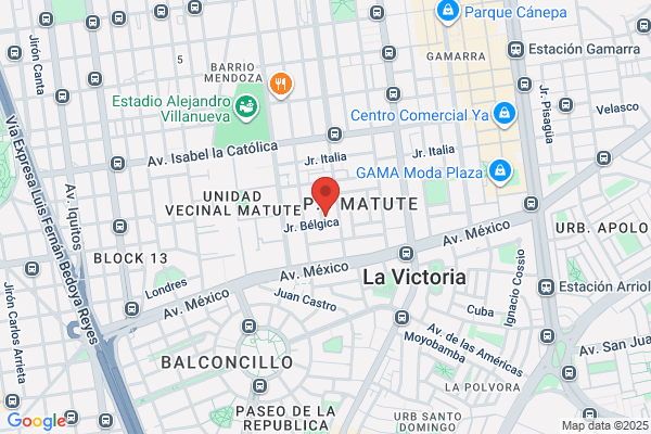 Teñidos Peruanos y Servicios En General S.R.L.