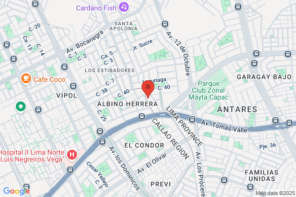 Agencia de Transportes Carlitos S.R.L.
