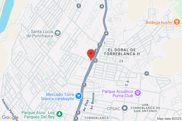 Empresa de Transporte Miguel Grau S.A.