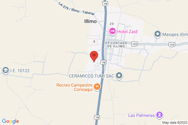 Empresa de Transporte Tiwinsa S.A.