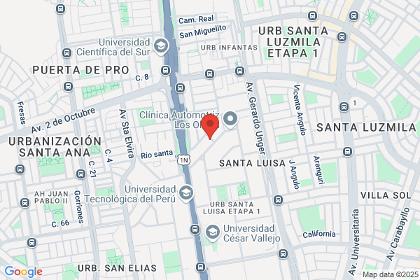 Transportes Vista Alegre S.A.