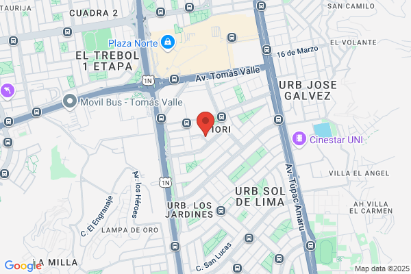 Strawberry Tours - Free Walking Tours Lima