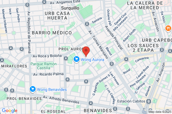 Delgado & Asociados S.R.L.
