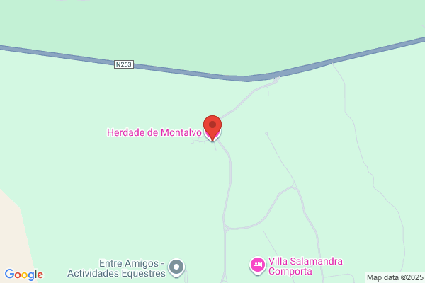 Cáceres Montalvo, Fernando