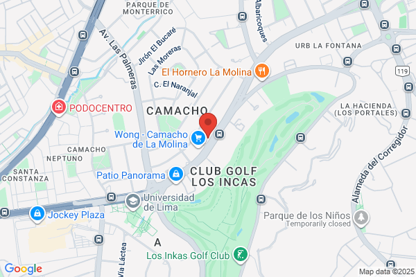 GRUPO DE ESTUDIO CAMACHO