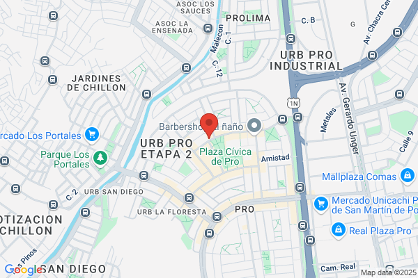 Gamarra Palacios, Magno