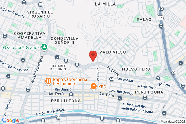 Servicios Zoila Marina S.A.