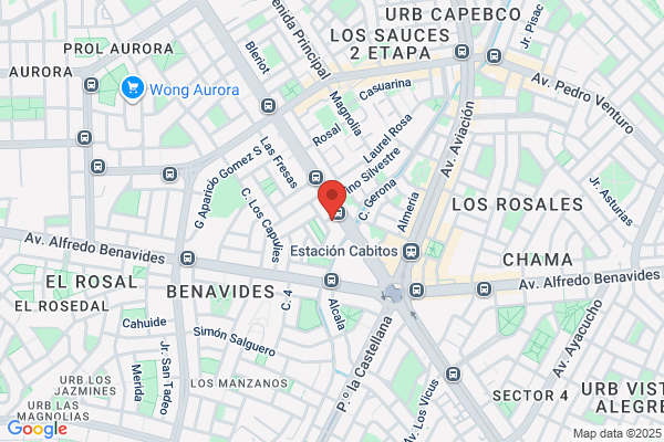 Centro De Ideas E.I.R.L.