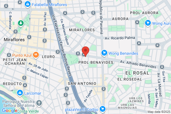 Metrovision