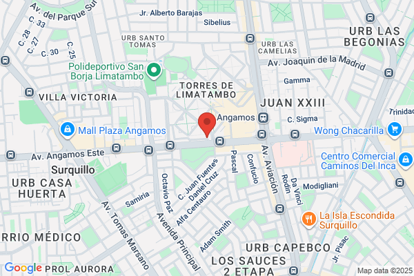 Armas Tiro Fijo S.A