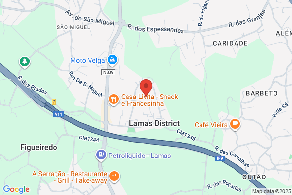 Lamas Muñoz, Carlos