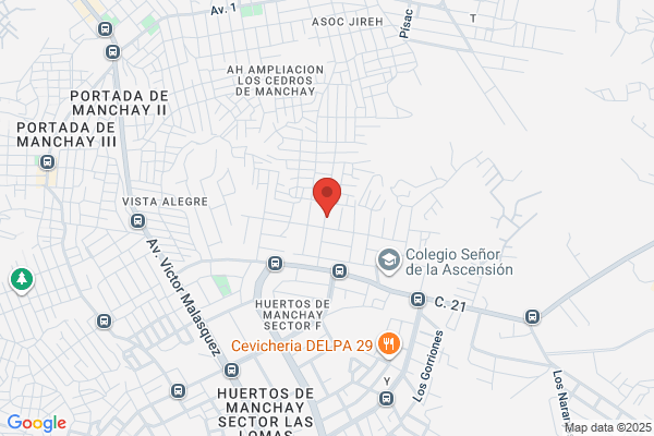 Samtronics Peru S.A.