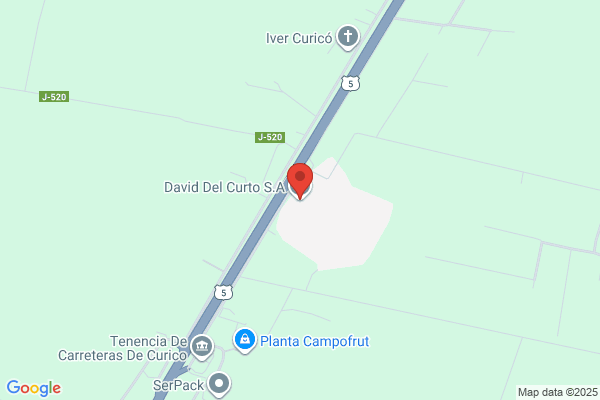 David Del Curto S A