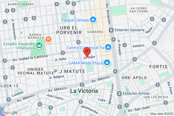 Distribuidora Textil Lima S A Ditelisa