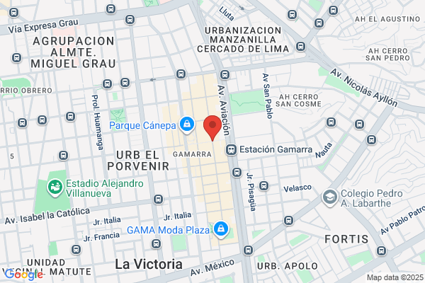 L Gamarra Srltda