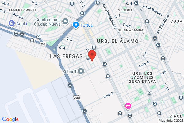 A P Américo del Pino C.