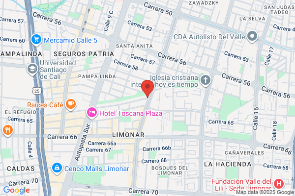 Gestion De Servicios Ejecutivos S. A.C.
