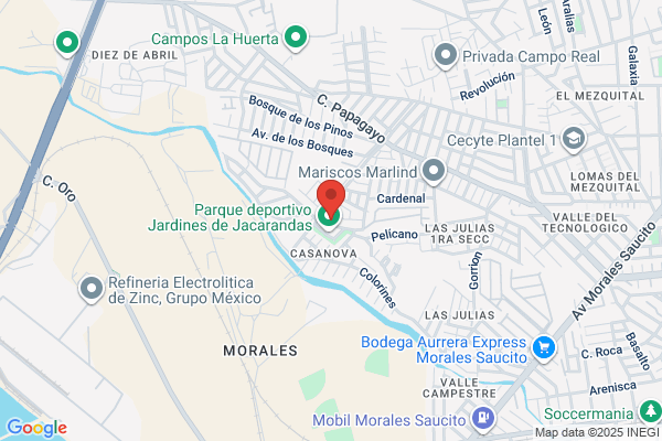 Servicios Topograficos Y Geodesicos