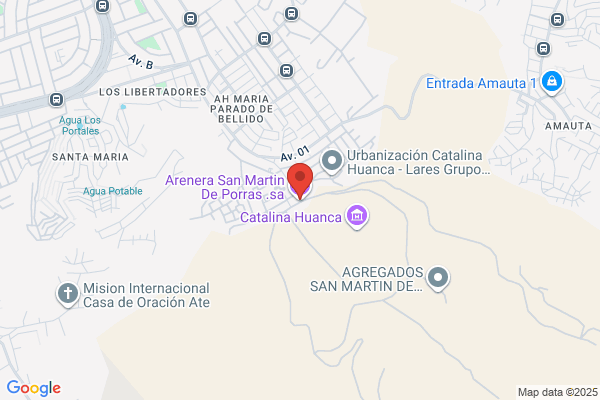 Arenera San Martin De Porras S.A.