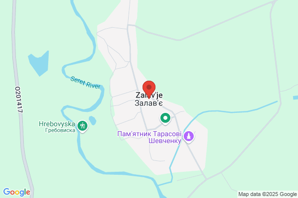 Zalevkaia, Olga