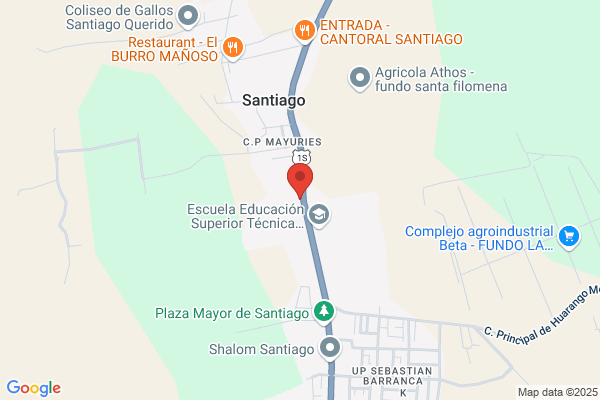 Exportadora Fruticola Del Sur Sa