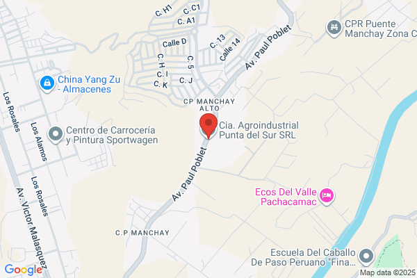 Compañía Agroindustrial Punta del Sur