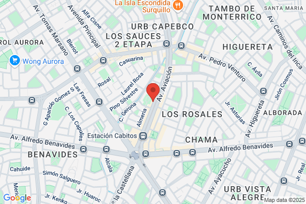 Instituto Odontologico San Borja