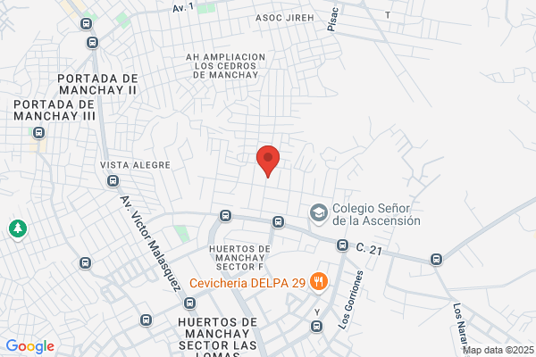 Samtronics Peru S.A.