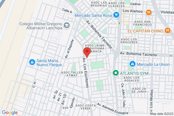 Willy Electric Del Peru S.A.