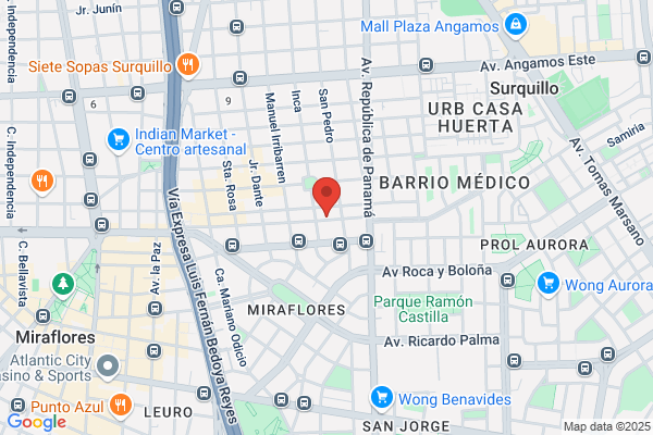 B Y G Electronica Peruana S R Ltda