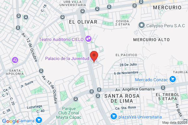 Los Olivos - Talleres Villanueva