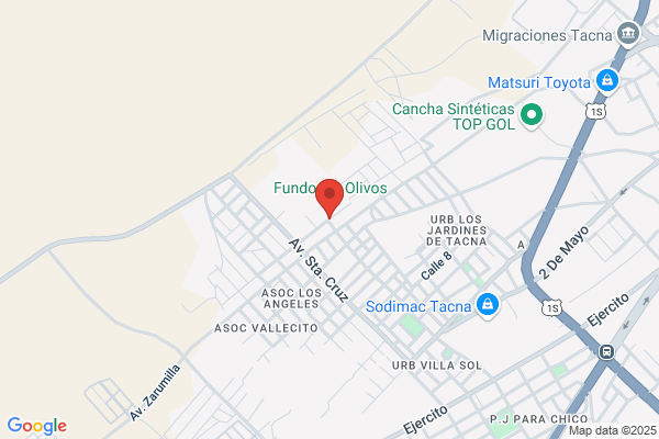 Fundo El Olivar