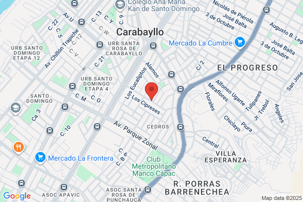 Cybernet Soluciones De Internet