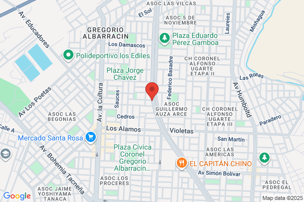 Comercializadora Ricaud Villar S. R. L.