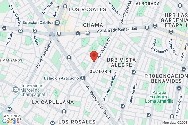 Santiago de Surco - Licorería Julio