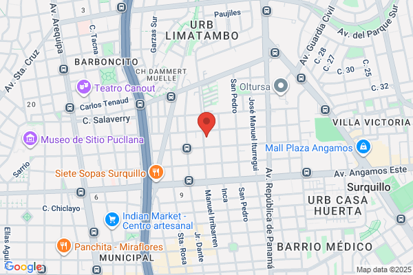Panamerican Trading S A