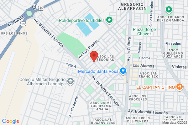 R.G.N. Represent Grales De Negocios Srl