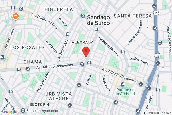 Intramedica S A